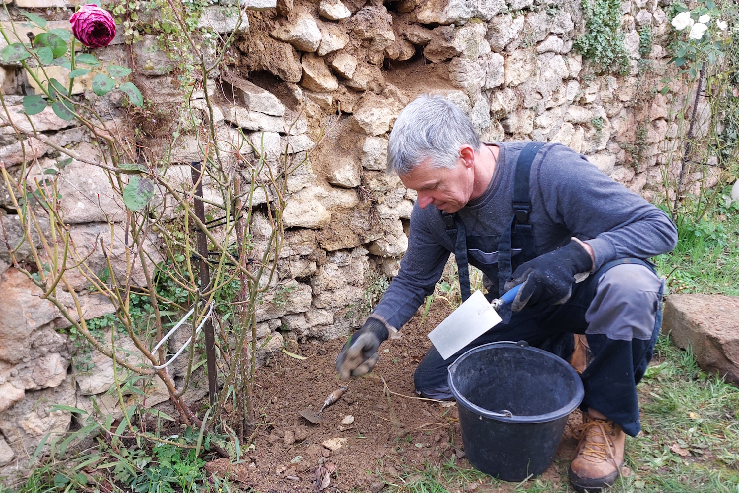 Renovierung der Gartenmauer